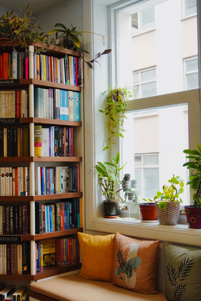 A cozy reading nook with plants by a sunlit window